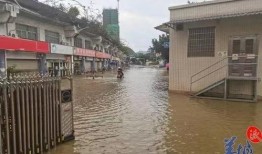 英德洪水爆料视频下载,视频揭露惊人景象